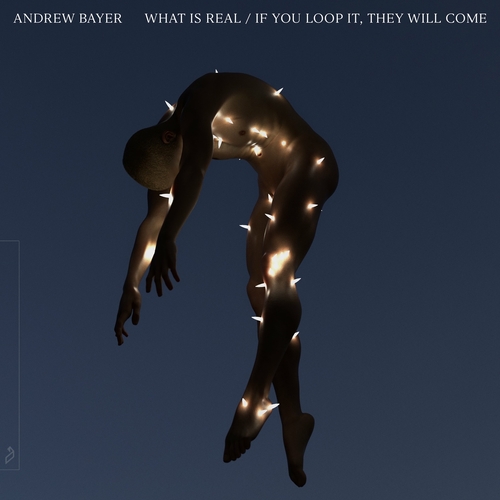 Andrew Bayer - What Is Real - If You Loop It, They Will Come [ANJ835D]